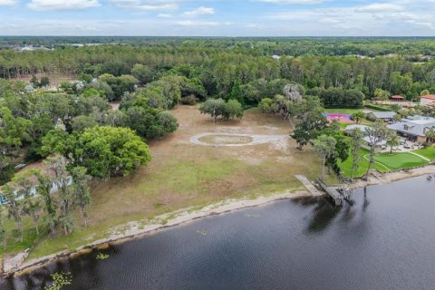 Land in Lutz, Florida № 2166200 - photo 16