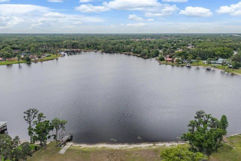 Land in Lutz, Florida № 2166200 - photo 18