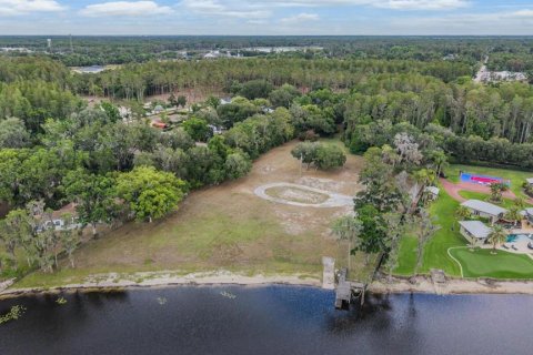 Land in Lutz, Florida № 2166200 - photo 6