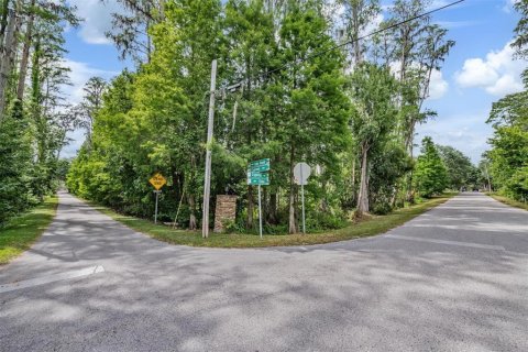 Land in Lutz, Florida № 2166200 - photo 22