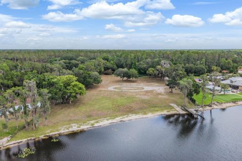 Land in Lutz, Florida № 2166200 - photo 15