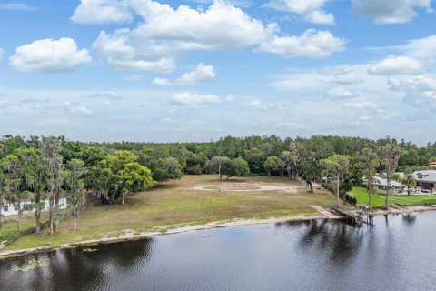 Land in Lutz, Florida № 2166200 - photo 14