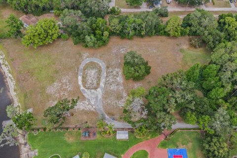 Land in Lutz, Florida № 2166200 - photo 3