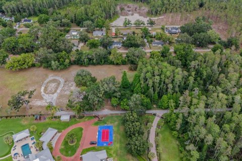Land in Lutz, Florida № 2166200 - photo 10