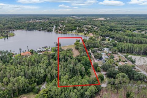 Land in Lutz, Florida № 2166200 - photo 2