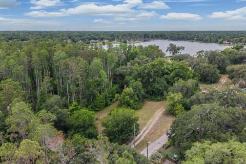 Land in Lutz, Florida № 2166200 - photo 11