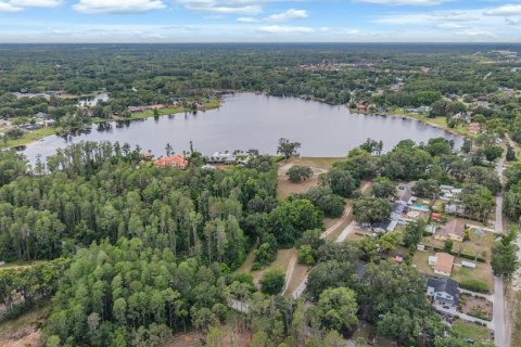Land in Lutz, Florida № 2166200 - photo 20
