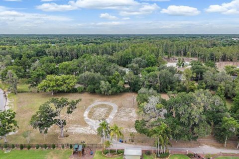 Land in Lutz, Florida № 2166200 - photo 9
