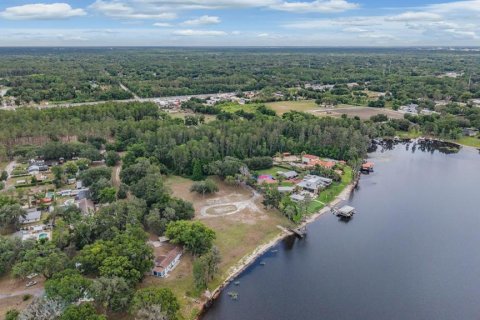 Land in Lutz, Florida № 2166200 - photo 4