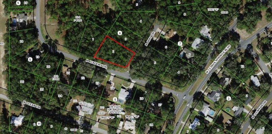 Land in Citrus Springs, Florida № 2162766
