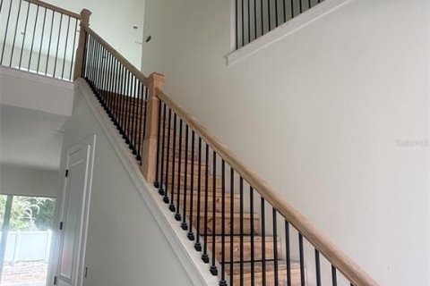 House in Tampa, Florida 5 bedrooms, 296.54 sq.m. № 2224370 - photo 7