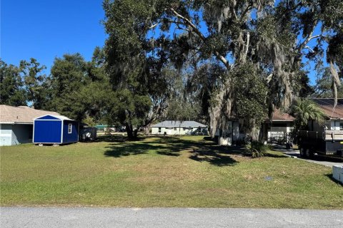 Terrain à vendre à Ocala, Floride № 2212542 - photo 6