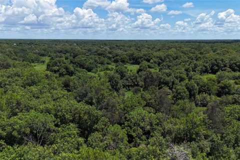 Land in Naples, Florida № 1906373 - photo 13