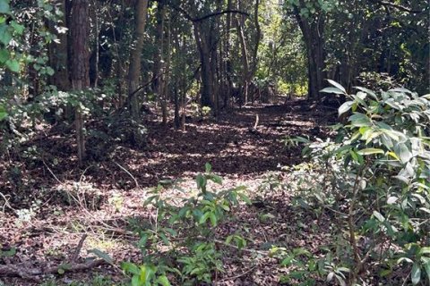 Land in Naples, Florida № 1906373 - photo 23