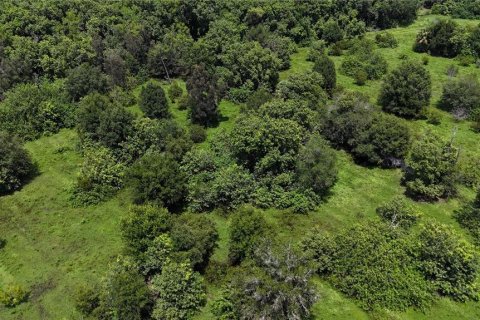 Land in Naples, Florida № 1906373 - photo 10
