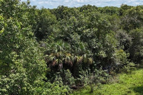 Land in Naples, Florida № 1906373 - photo 21