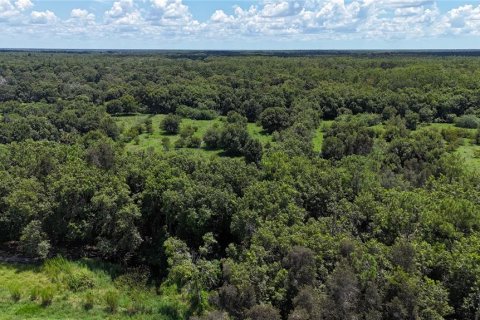 Land in Naples, Florida № 1906373 - photo 25