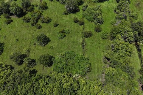 Land in Naples, Florida № 1906373 - photo 11