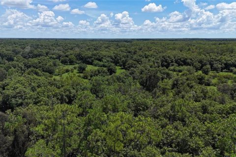 Land in Naples, Florida № 1906373 - photo 28