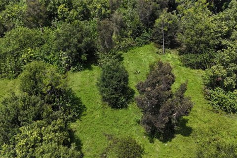 Land in Naples, Florida № 1906373 - photo 7