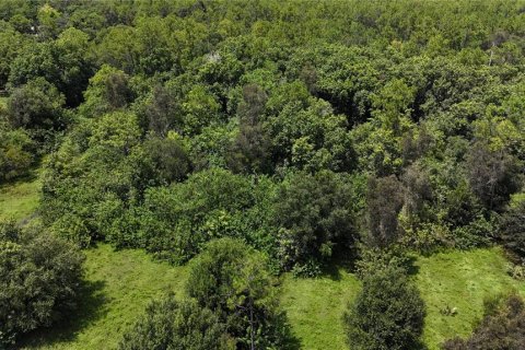 Land in Naples, Florida № 1906373 - photo 9
