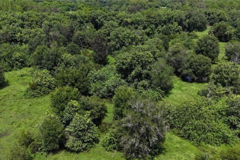 Land in Naples, Florida № 1906373 - photo 14
