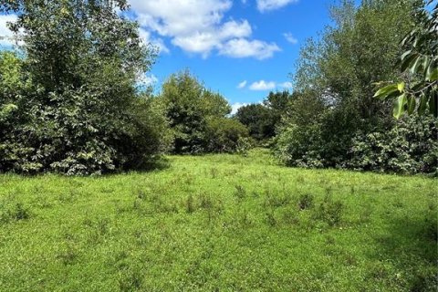Land in Naples, Florida № 1906373 - photo 6