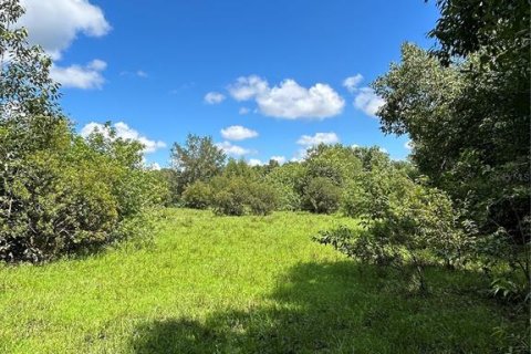 Land in Naples, Florida № 1906373 - photo 8