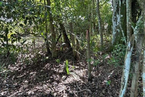 Land in Naples, Florida № 1906373 - photo 4