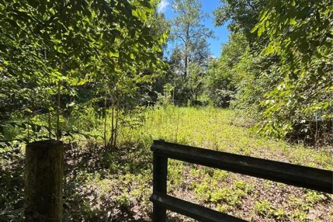 Land in Naples, Florida № 1906373 - photo 2