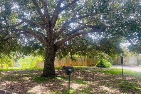 Land in Winter Park, Florida № 1855569 - photo 2