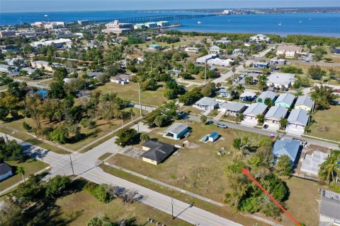 Terrain à Punta Gorda, Floride № 2097710