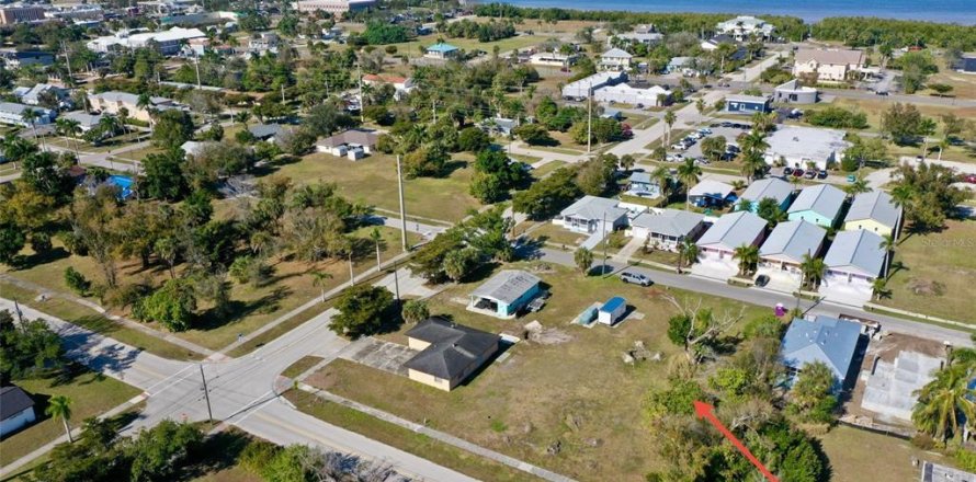 Terrain à Punta Gorda, Floride № 2097710