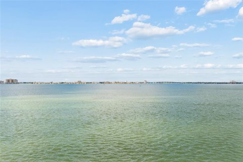 Copropriété à vendre à Gulfport, Floride: 1 chambre, 108.7 m2 № 2147674 - photo 25