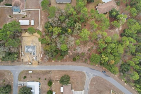 Land in Dunnellon, Florida № 2163527 - photo 8