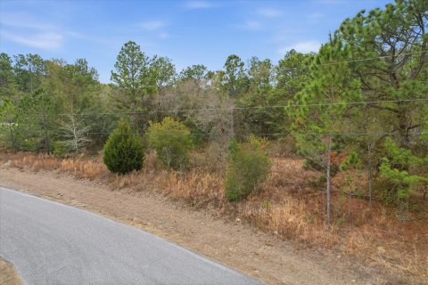 Land in Dunnellon, Florida № 2163527 - photo 4