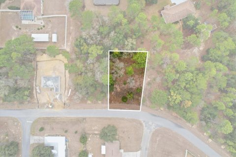 Land in Dunnellon, Florida № 2163527