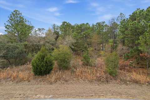 Land in Dunnellon, Florida № 2163527 - photo 5