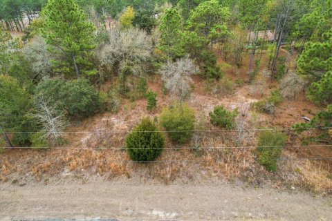 Land in Dunnellon, Florida № 2163527 - photo 6