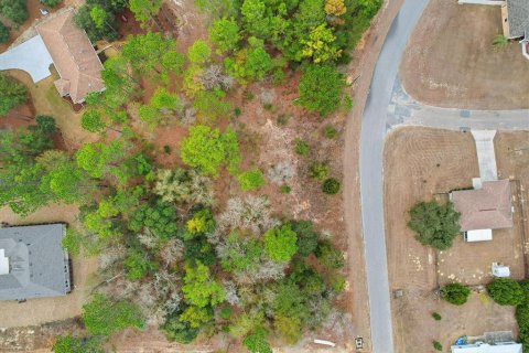 Land in Dunnellon, Florida № 2163527 - photo 7