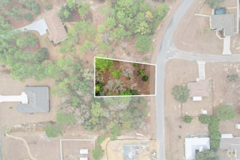Land in Dunnellon, Florida № 2163527 - photo 2