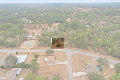 Land in Dunnellon, Florida № 2163527 - photo 3