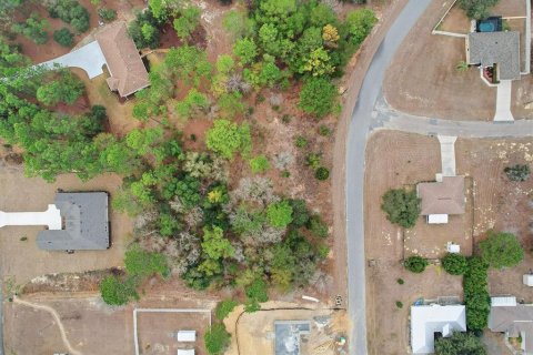 Land in Dunnellon, Florida № 2163527 - photo 9