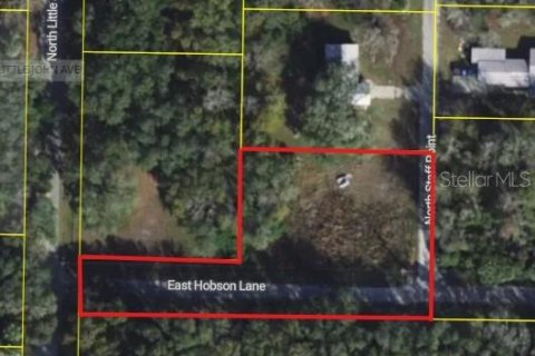 Land in Inverness, Florida № 2383304 - photo 4