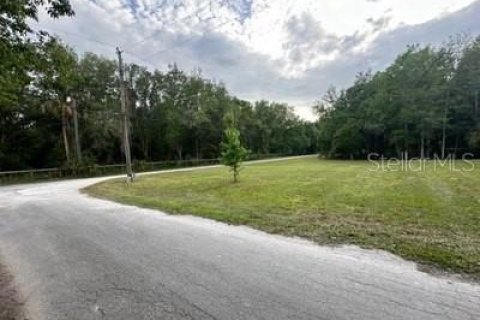 Land in Inverness, Florida № 2383304 - photo 2