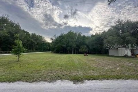 Land in Inverness, Florida № 2383304