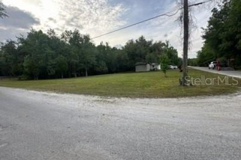 Land in Inverness, Florida № 2383304 - photo 3