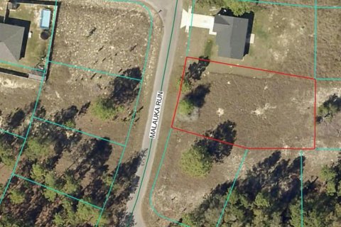 Land in Ocklawaha, Florida № 2205074