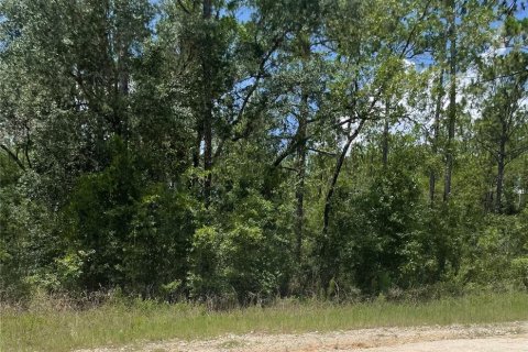 Terrain à Ocala, Floride № 2106547