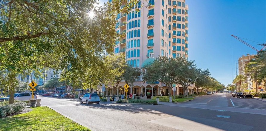 Condo in Saint Petersburg, Florida, 3 bedrooms  № 2368721